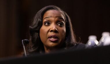 Trump Fed Lisa Cook appeals court