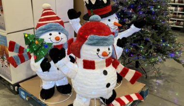 Trump tariffs, inflation push early holiday shopping season