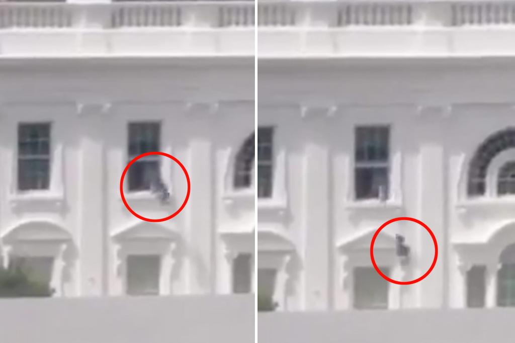 Trump claims viral video of items thrown from White House window 'probably AI' — after aide fingers contractor