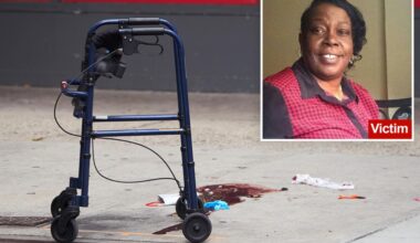Teen fugitive busted in NYC shooting that killed innocent walker-using grandma, 69