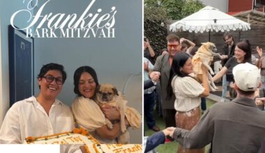 NYC couple host bark-mitzvah for senior pug: 'She's just the sweetest'