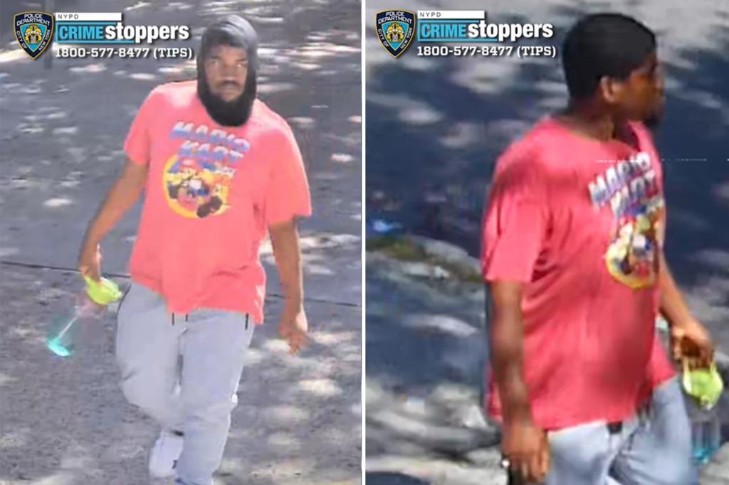 NYC sicko attempted to rape girl, 13, before attacking 15-year-old: cops, sources