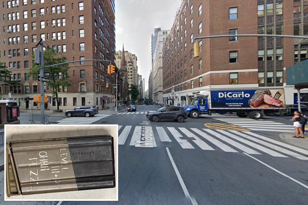 Heavily-armed maniac bashes border agent's car in NYC