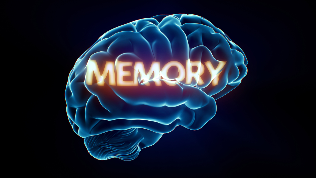 5 everyday habits that may be secretly harming memory, backed by science