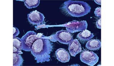 New Ultra-Fast Genome Sequencing Technology Holds Promise for Accelerating Aging Research