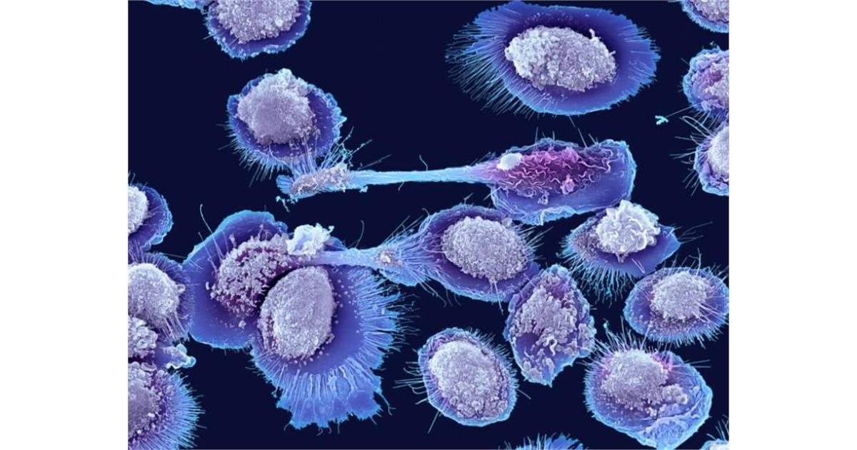 New Ultra-Fast Genome Sequencing Technology Holds Promise for Accelerating Aging Research