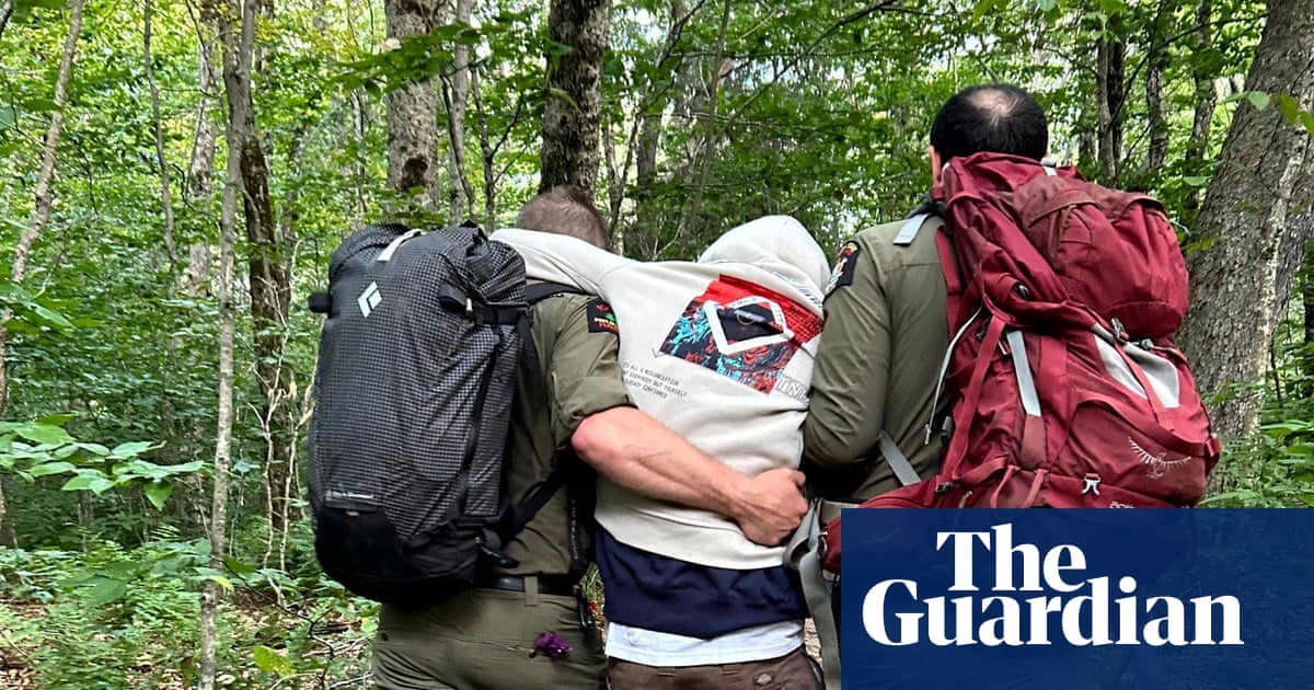 Four hikers on magic mushrooms, one with ‘debilitating high’, rescued in New York | New York