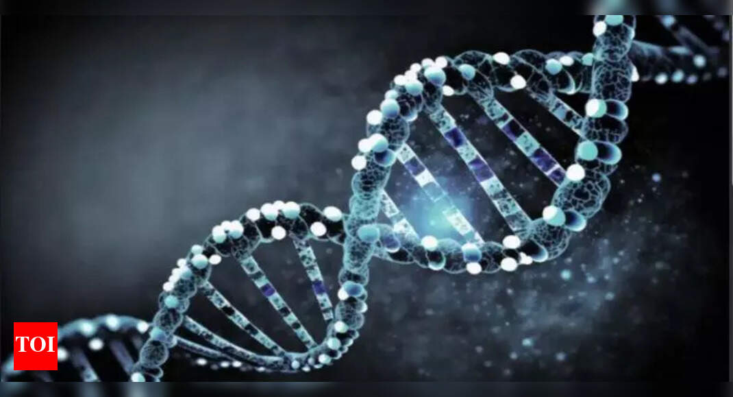Study by IIT-M, Danish researchers unlocks personalised treatment of cancer, diabetes | Chennai News