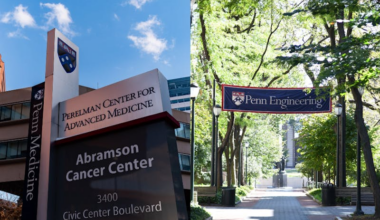 Penn researchers discover critical role of red blood cells in targeting blood clots