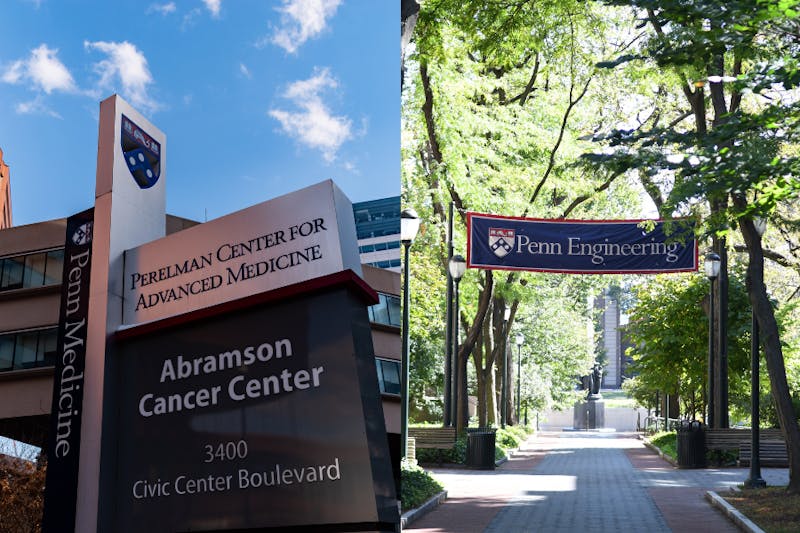 Penn researchers discover critical role of red blood cells in targeting blood clots