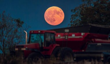 When To See The ‘Corn Moon’ Rise