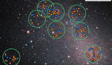Massive stars in metal-poor environment often have close partners, scientists discover