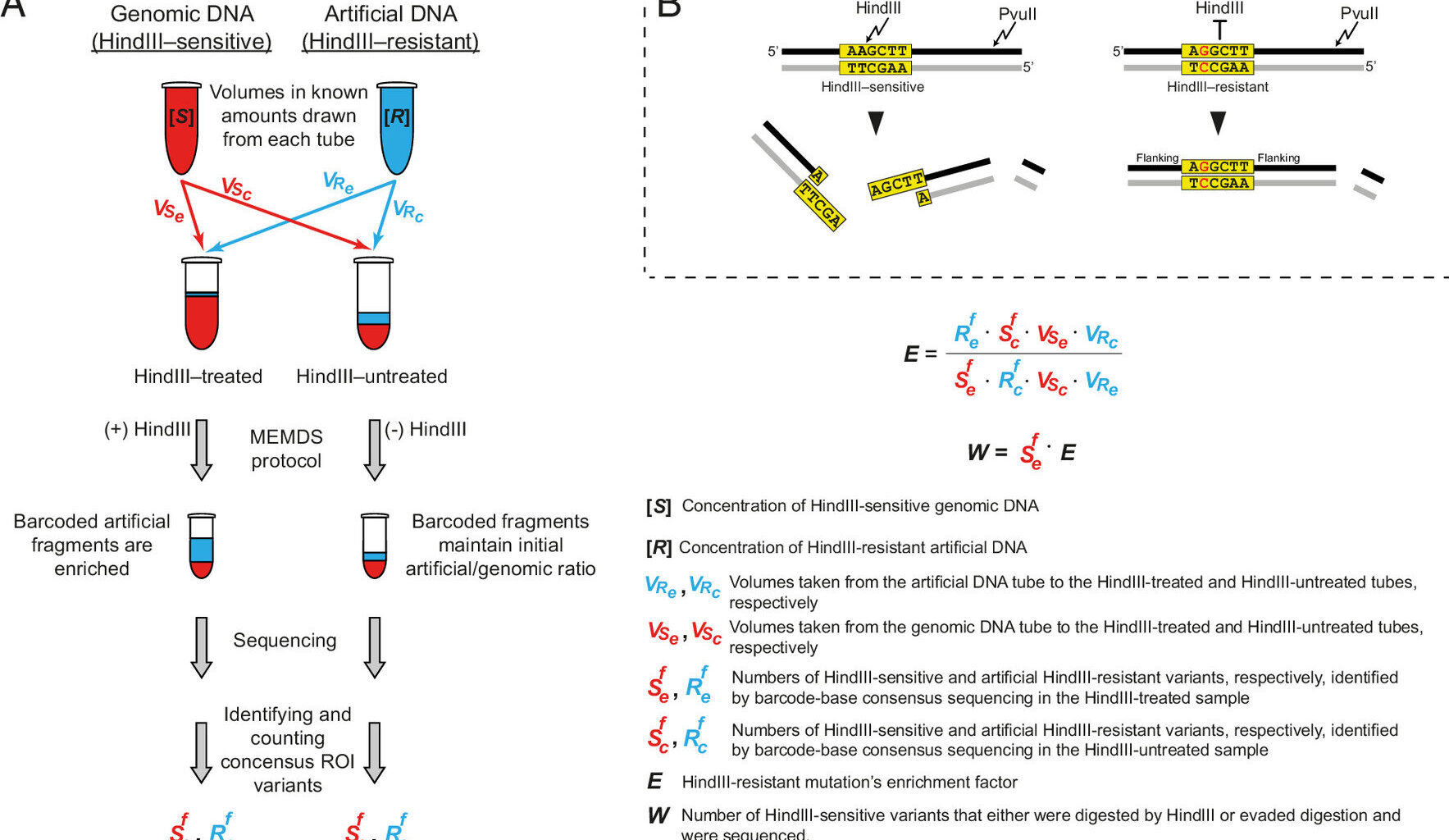 Mutations driving evolution are informed by the genome, not random, study suggests
