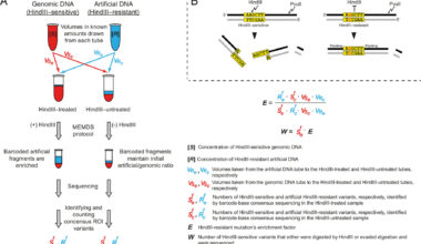 Mutations driving evolution are informed by the genome, not random, study suggests