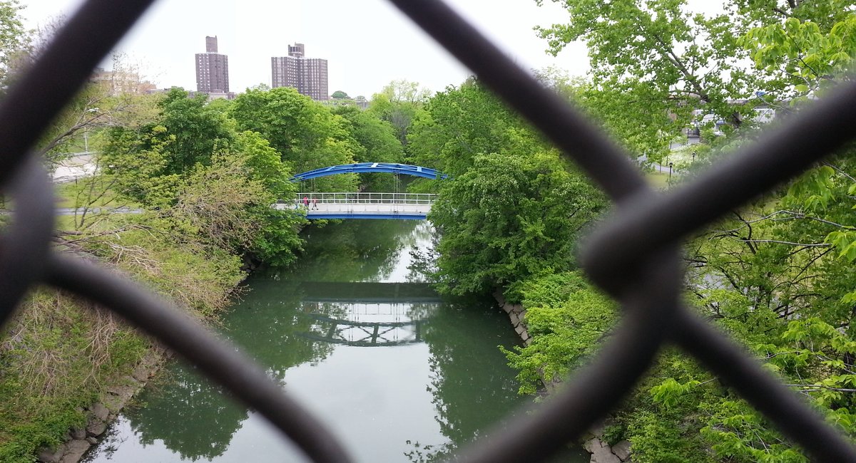 26-year-old man fatally shot in Bronx park, NYPD says