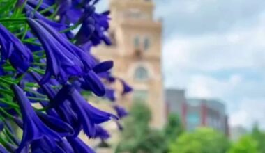 Things to do in San Antonio this weekend (Sept. 5-7)