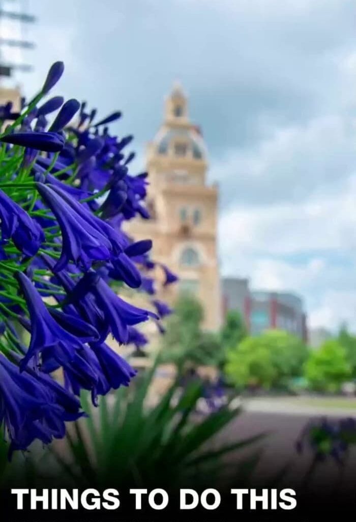 Things to do in San Antonio this weekend (Sept. 5-7)