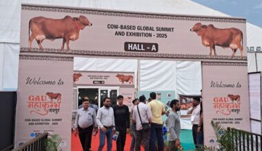 From Cow Urine That Cures Cancer to ‘Vedic Plaster’: A Day at Jaipur’s ‘Gau Mahakumbh’