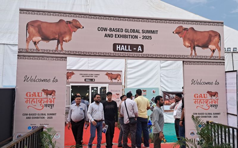 From Cow Urine That Cures Cancer to ‘Vedic Plaster’: A Day at Jaipur’s ‘Gau Mahakumbh’