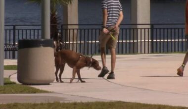 Jacksonville counseling group shares advice on coping with survivor’s guilt
