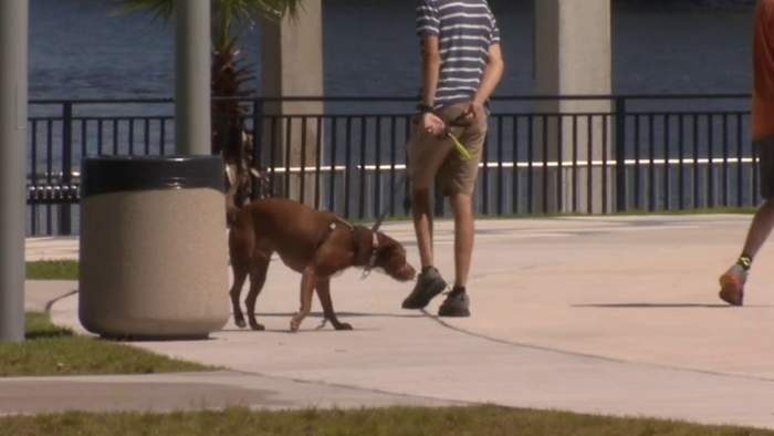 Jacksonville counseling group shares advice on coping with survivor’s guilt