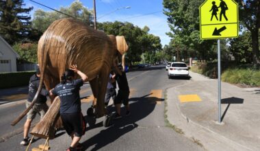Elephant sculptures find new home in Sonoma – Sonoma Index-Tribune