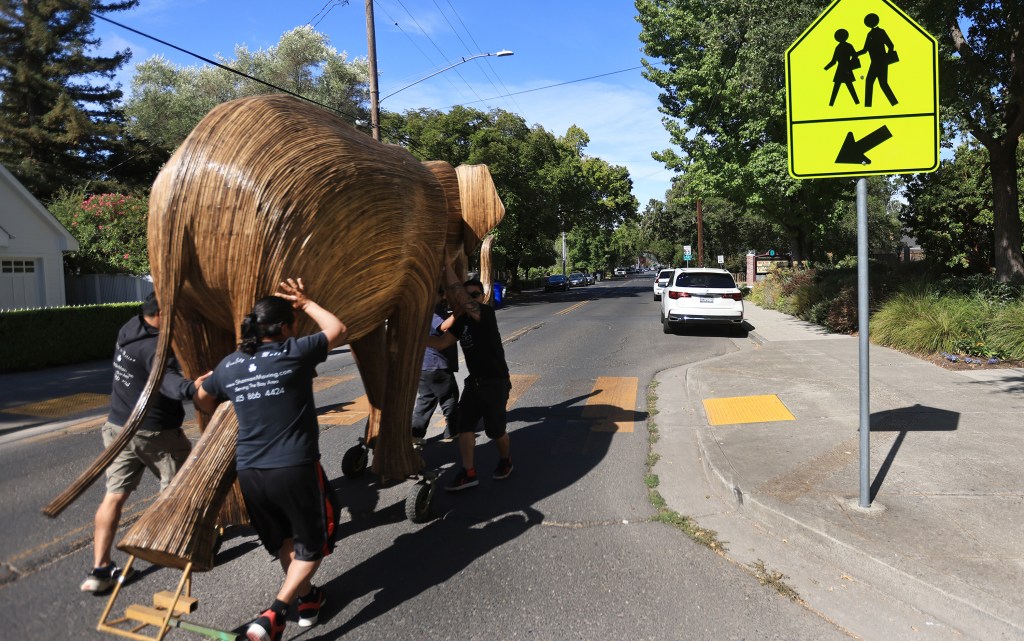 Elephant sculptures find new home in Sonoma – Sonoma Index-Tribune