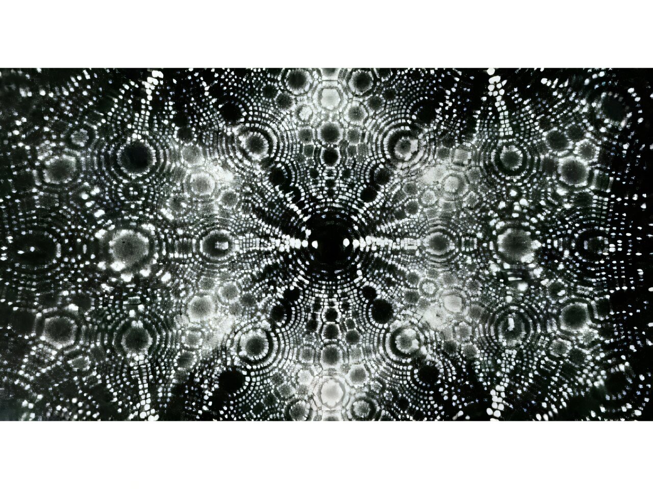 Physics pioneer key to microscopy 'revolution in resolution'