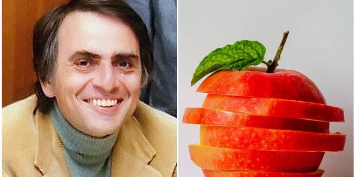 45 years ago, Carl Sagan beautifully explained the fourth dimension with just an apple.