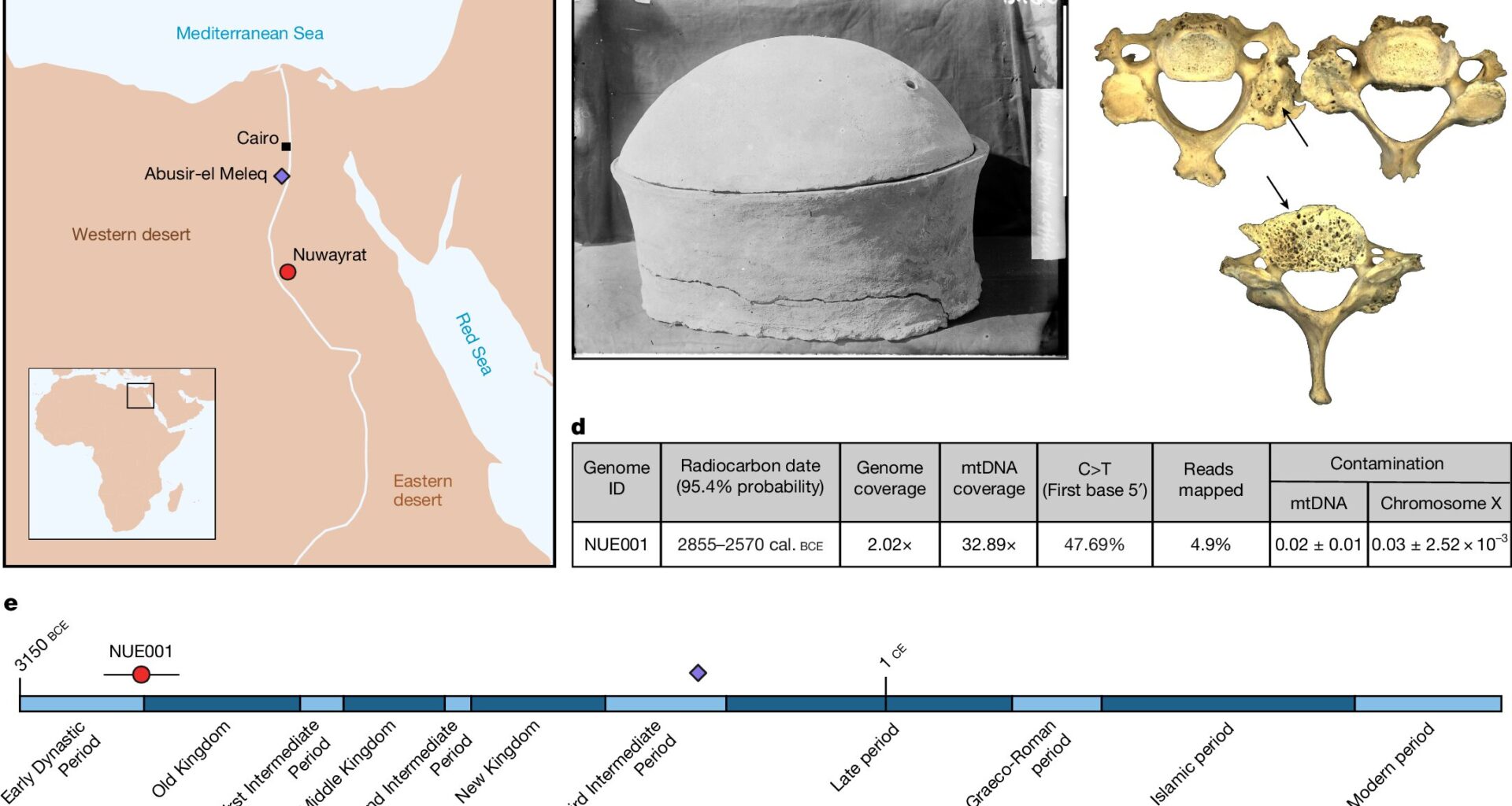 We decoded the oldest genetic data from an Egyptian, a man buried about 4,500 years ago