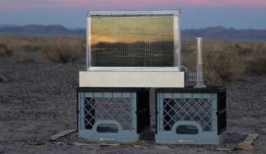 Water harvesting devices pull drinking water from the air in deserts, but face criticism