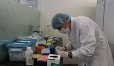 Researchers quantify rate of essential evolutionary process in the ocean