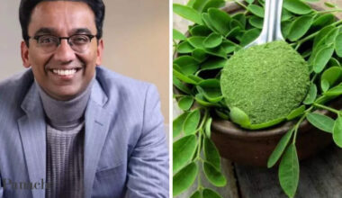 From blood sugar control to helping digestion, here's how moringa leaves can benefit your health. Gastrospecialist Dr Pal explains