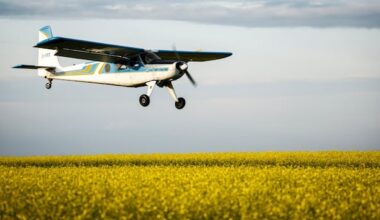 Carney's $370M canola incentives are missing the mark, says industry group president