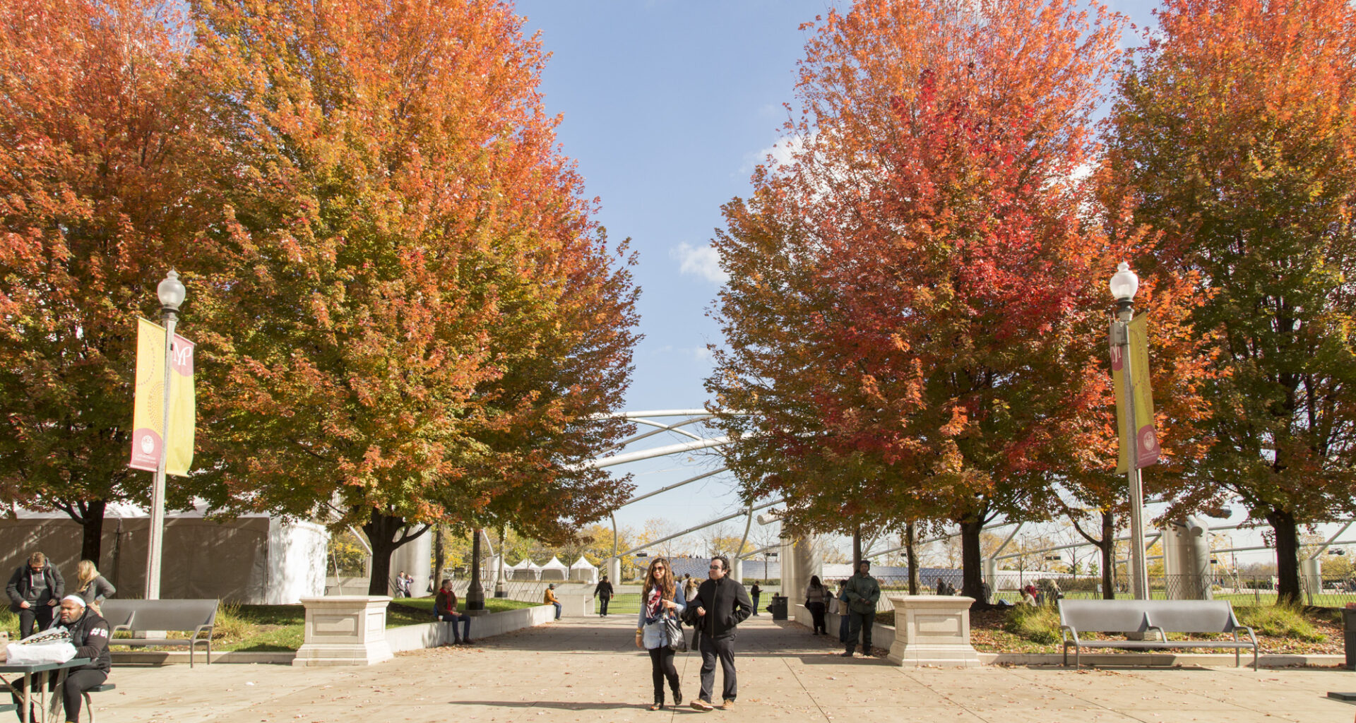 15 reasons fall in Chicago truly stands out—from someone who’s lived it