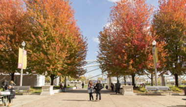 15 reasons fall in Chicago truly stands out—from someone who’s lived it