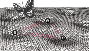 Twisted bilayer graphene reveals two distinct strongly interacting topological phases
