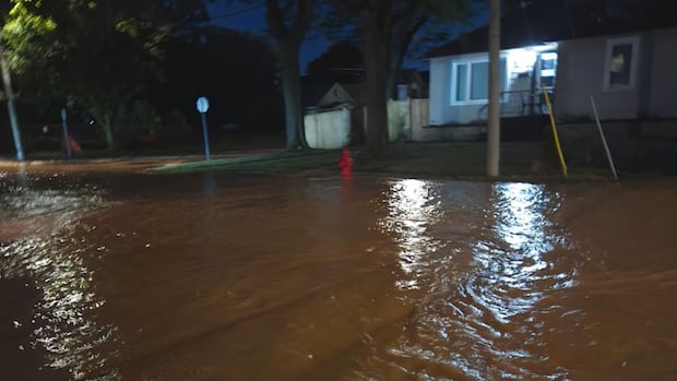 Watermain break from 145-year-old pipe turns east Hamilton neighbourhood into muddy river