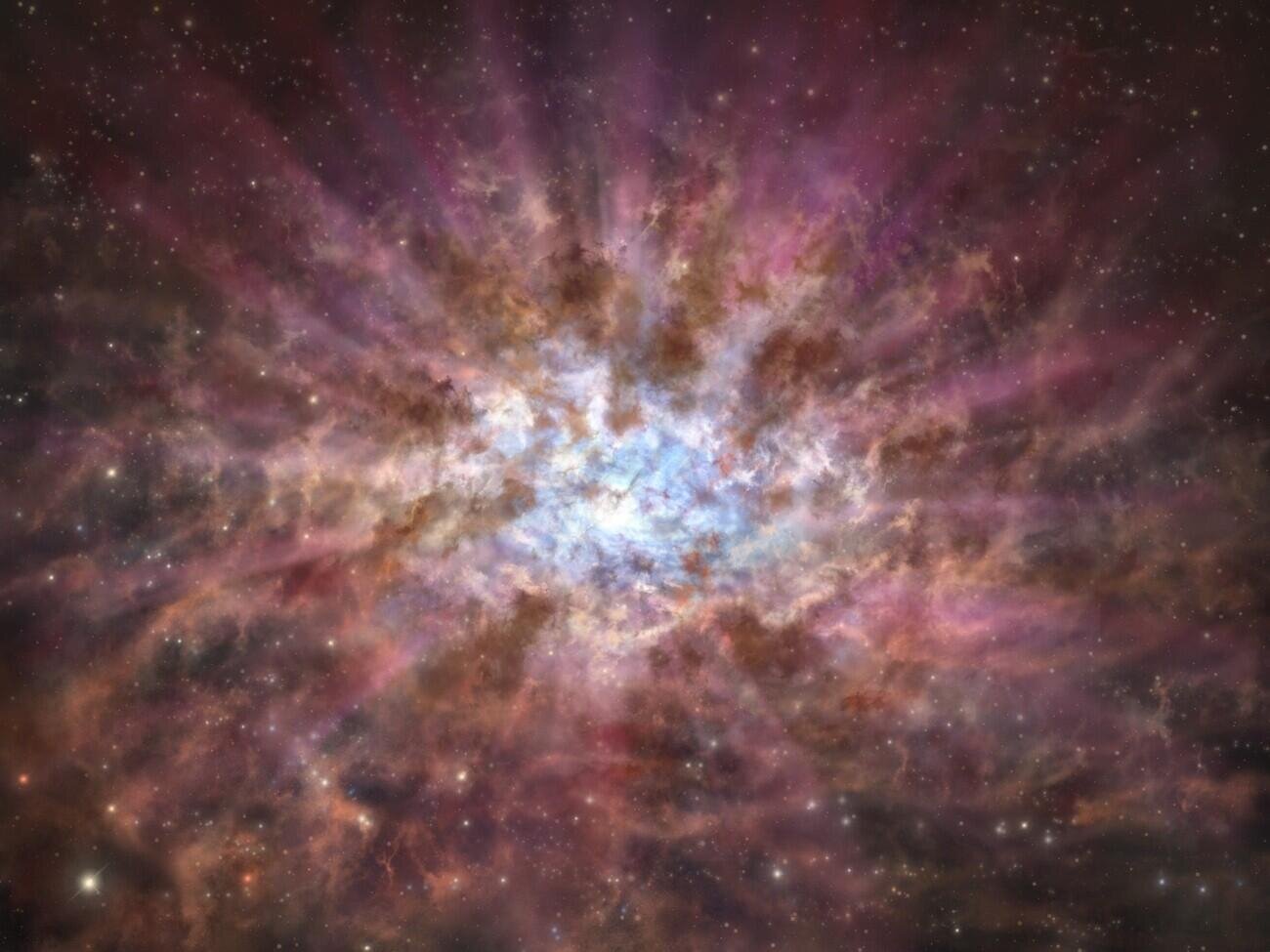 Supermassive black holes shrouded by dust in the early universe