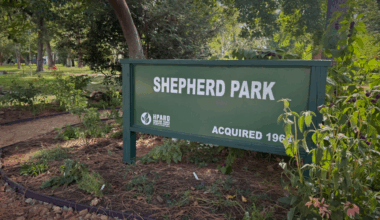 Houston Shepherd Park attack: Arrest made after recent attacks