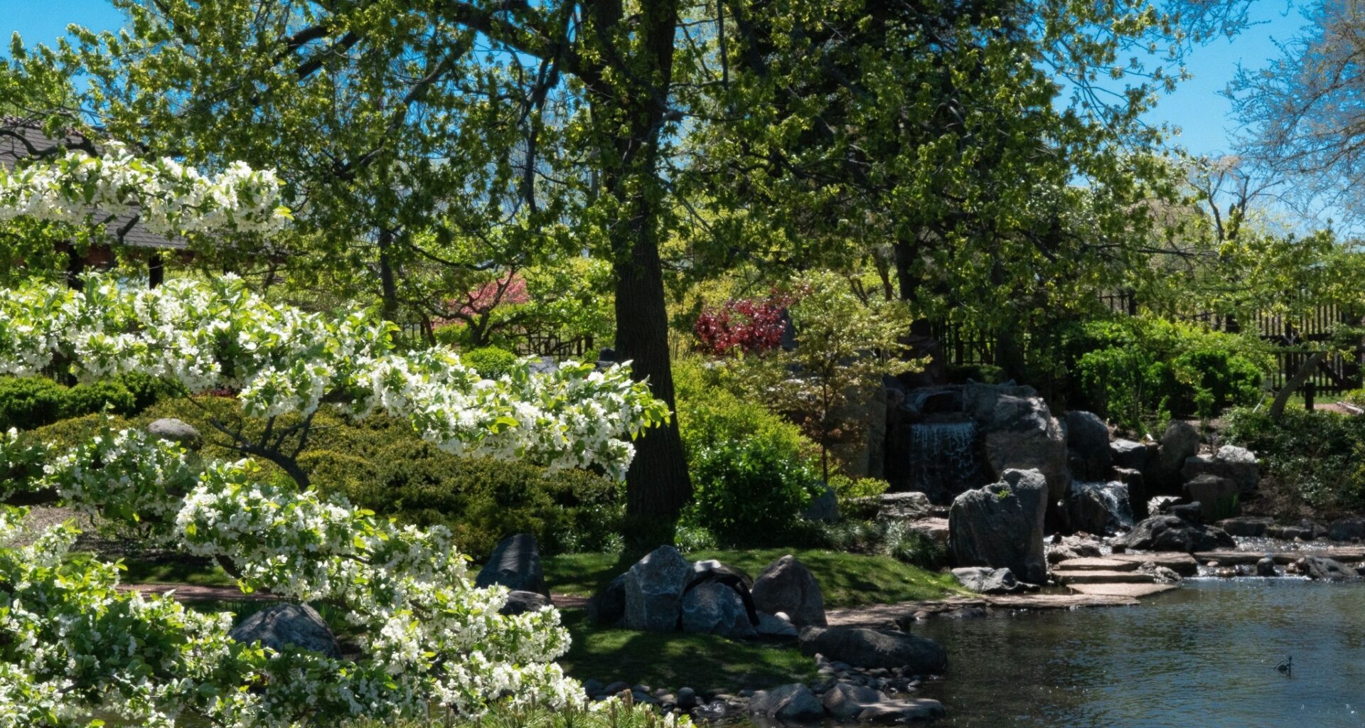 This 130-year-old garden in Chicago is the No. 1 proposal spot in the world