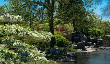 This 130-year-old garden in Chicago is the No. 1 proposal spot in the world