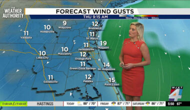 Jacksonville to enjoy sunny, dry weather with warm temperatures and some wind ahead