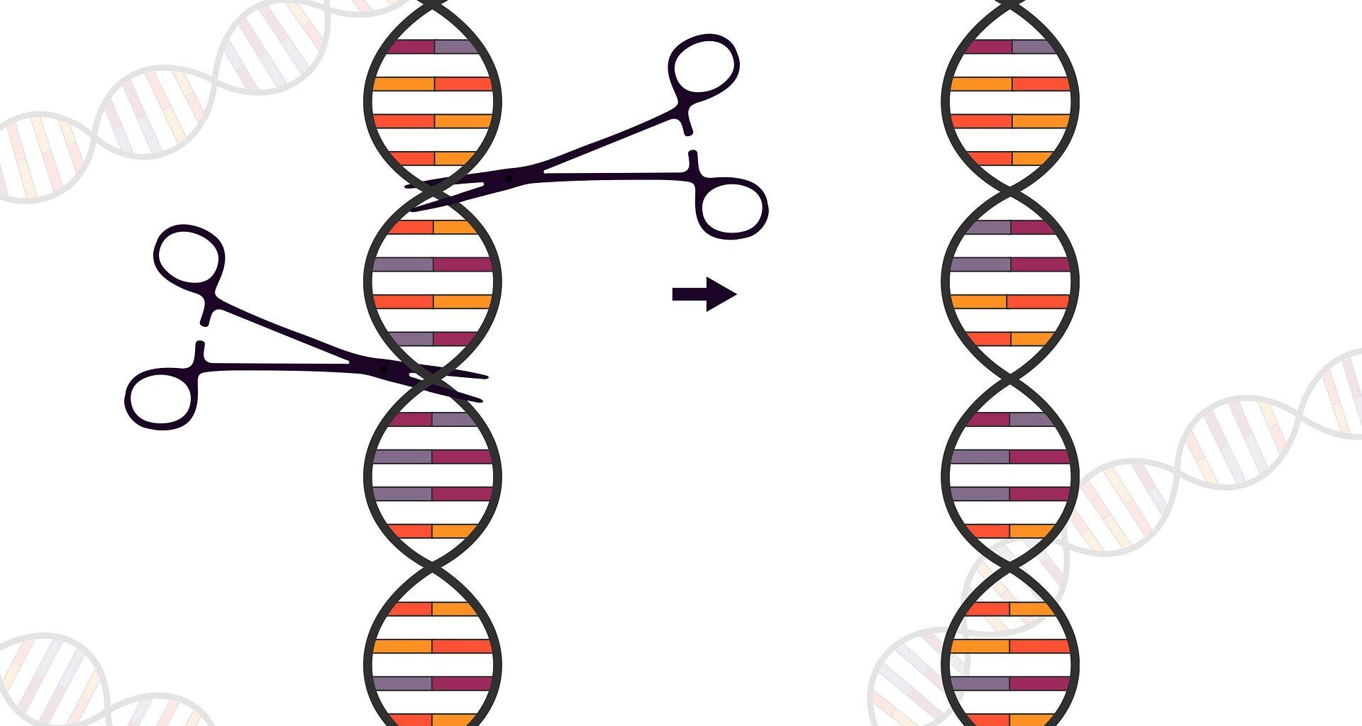 Customized gene-editing technology shows potential to treat lethal pediatric disease