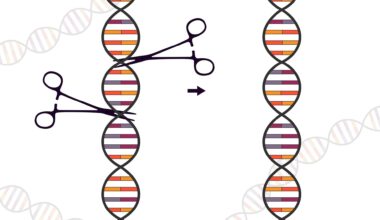Customized gene-editing technology shows potential to treat lethal pediatric disease