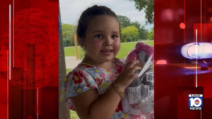 5-year-old Hollywood girl reported missing found safe in New York; mother arrested, cops say