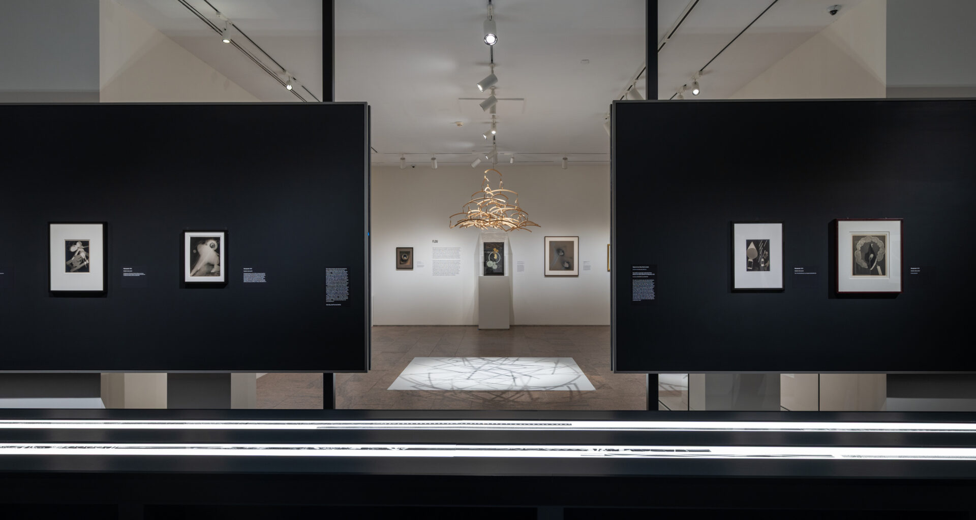 When Objects Dream,' a new Surrealist exhibit at the Met