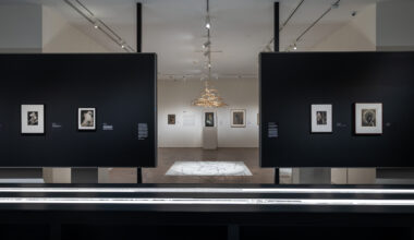 When Objects Dream,' a new Surrealist exhibit at the Met