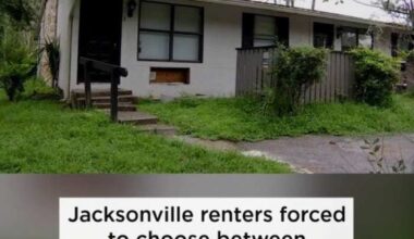 Jacksonville renters forced to choose between affordable rent and safe living conditions