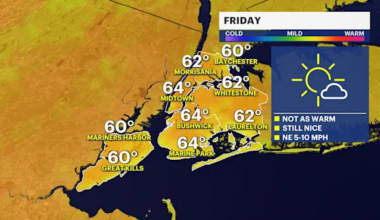 Sunny and mild Friday in The Bronx